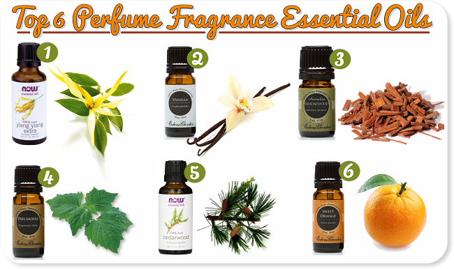 Top 6 perfume fragrance essential oils