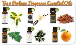 My Top 6 Perfume Fragrance Essential Oils
