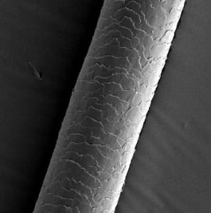 close up of strand of hair