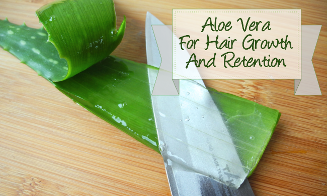 The Aloe Vera Plant For Hair Growth And Retention