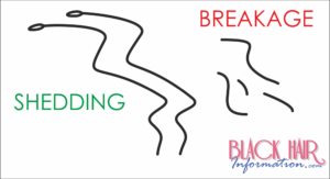 The Difference Between Shedding And Breakage