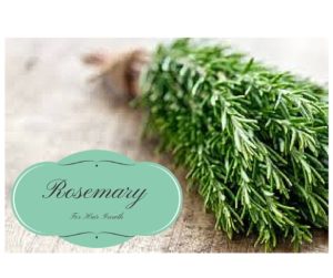Rosemary Is Great For Hair Growth Here Are 5 Ways To Use It!