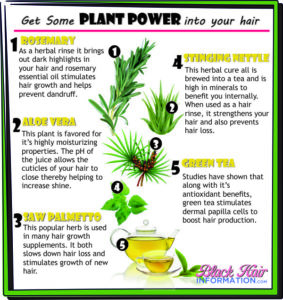 Get Some Plant Power Into Your Hair - BHI Postcard Tips