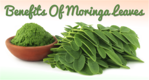 Promote Hair Growth and Beautiful Skin by Adding Moringa to Your Beauty Regimen