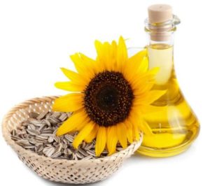 Is Your Hair Thinning? Try Sunflower Oil!