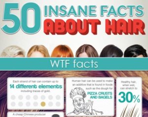 50 Weird Facts About Hair Infographic