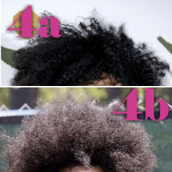 Is 4b Hair Simply Dry Unmoisturized 4a Hair?