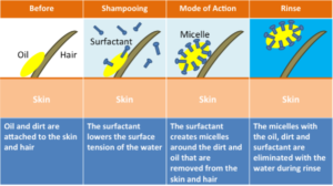 how does shampoo work