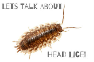 Your Children Are Back In School, So let’s Talk About Lice