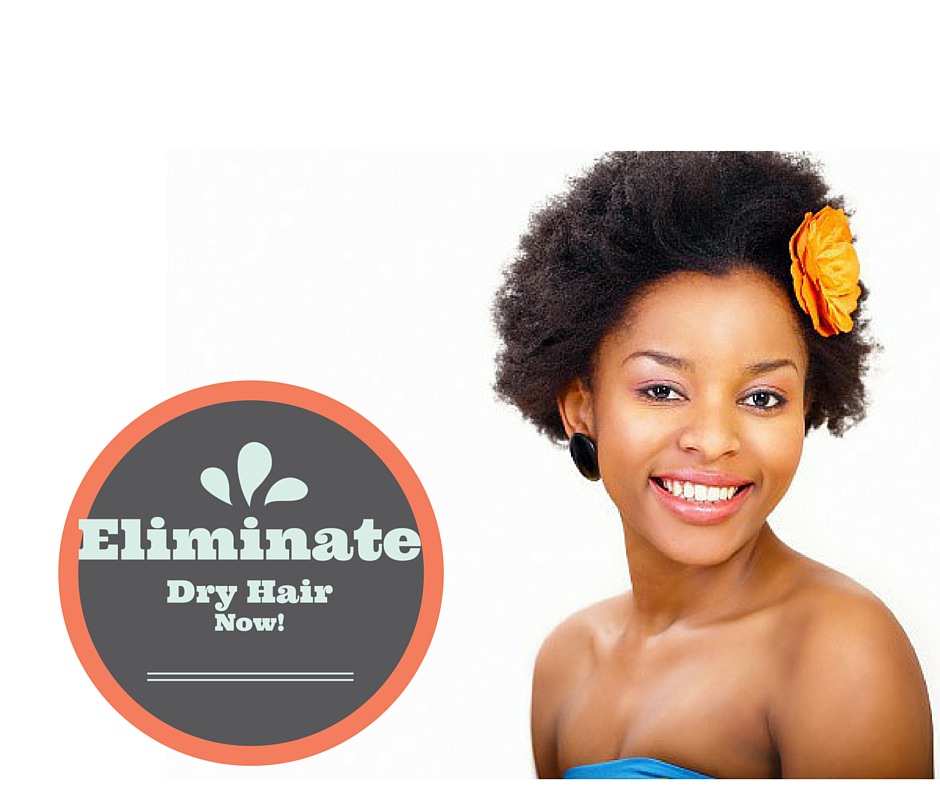 eliminate dry hair