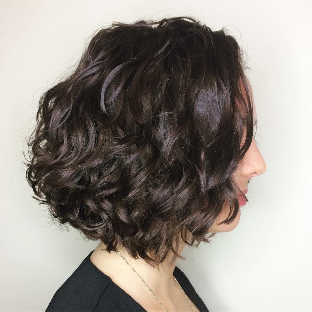 Brunette Curly Bob Hairstyle