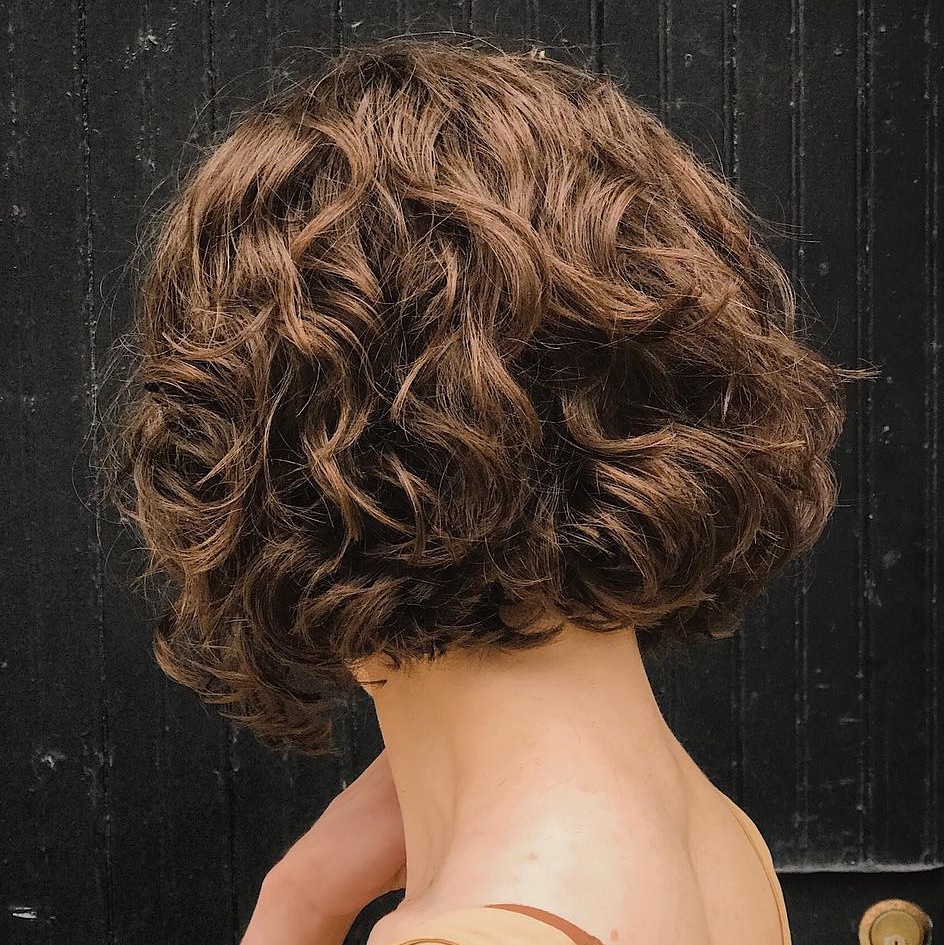 Brown Short Curly Bob Hairstyle
