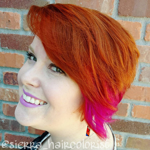 Copper Red And Magenta Pixie Bob