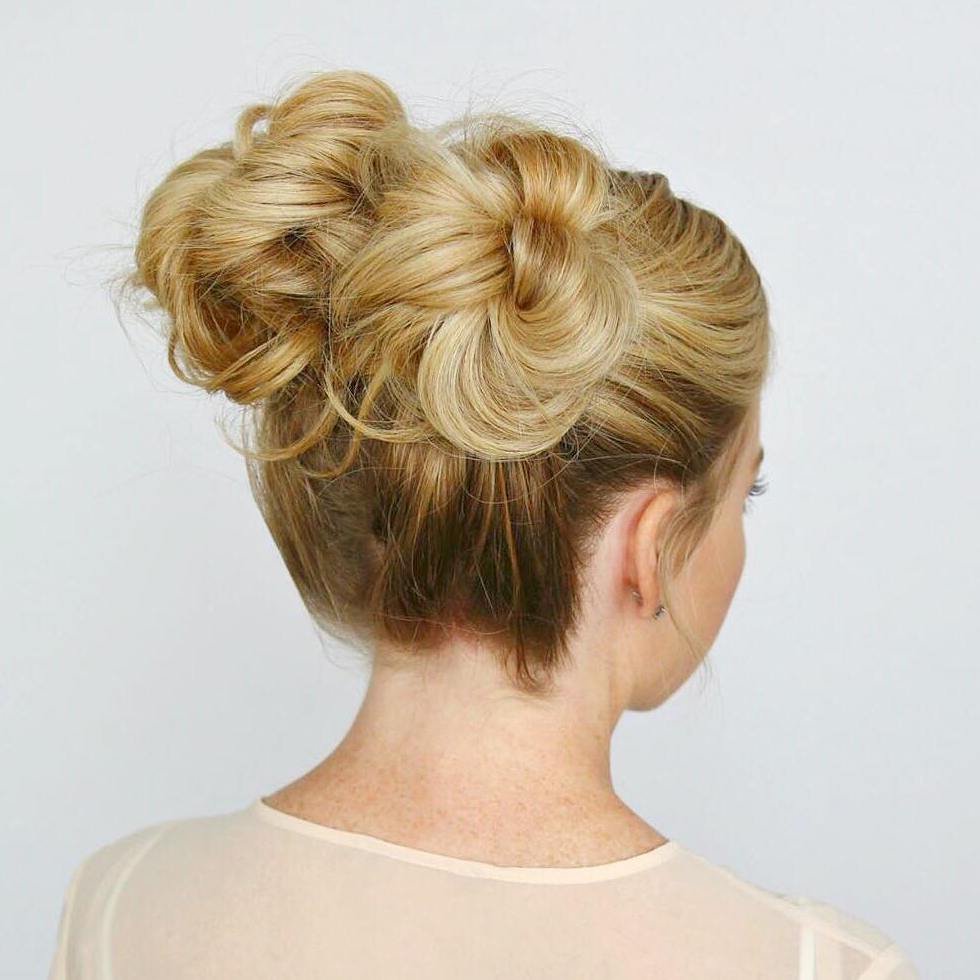 Two Buns Updo