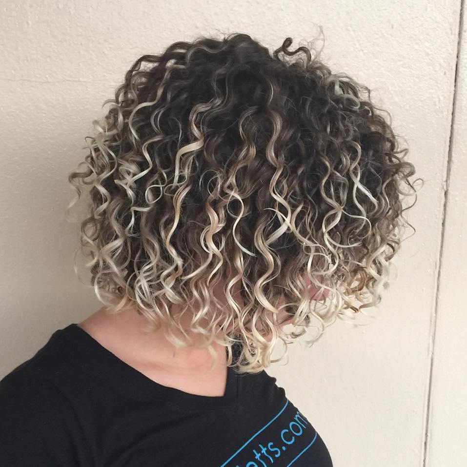 Curly Brown Bob with Highlights