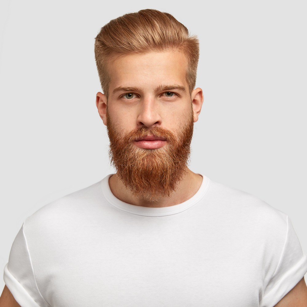 Men's Hairstyle with a Long Beard