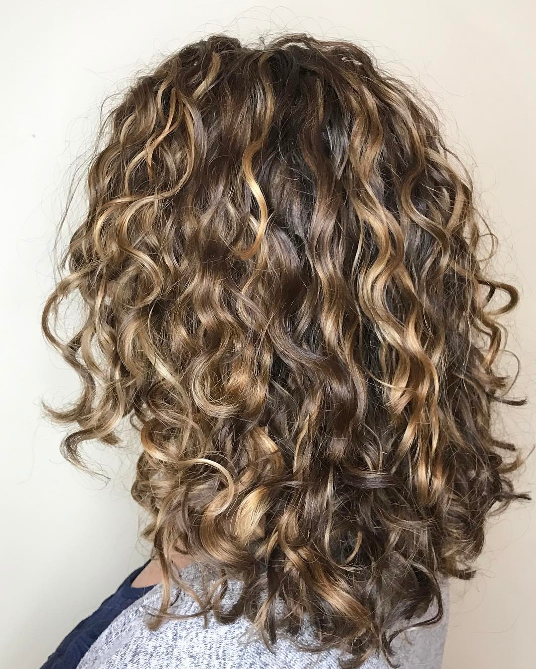 Curly Brown Hair with Dark Blonde Highlights