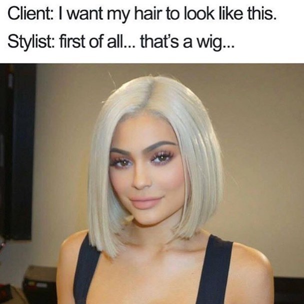 Kylie Jenner Wig Mem