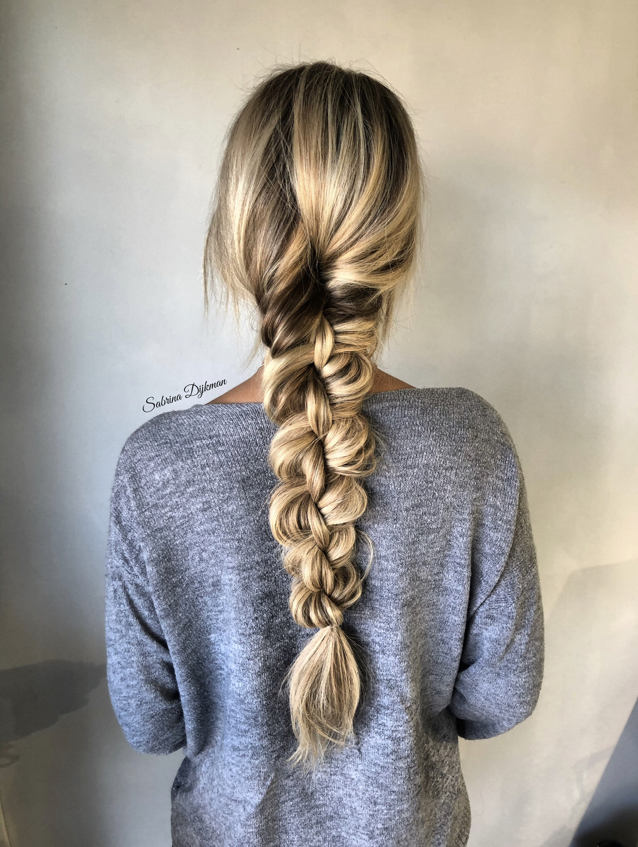Messy Hairstyle with Two Fishtail Braids