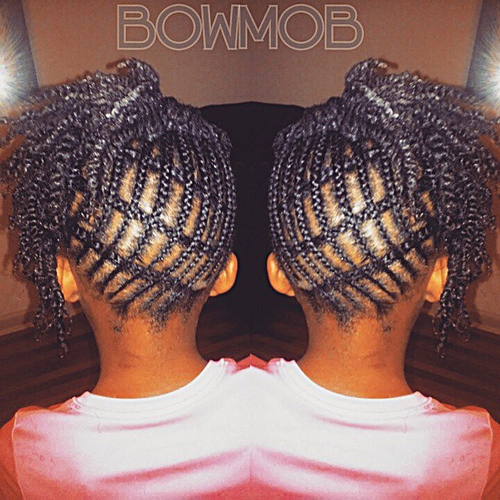 braided back to school hairstyle for black girls