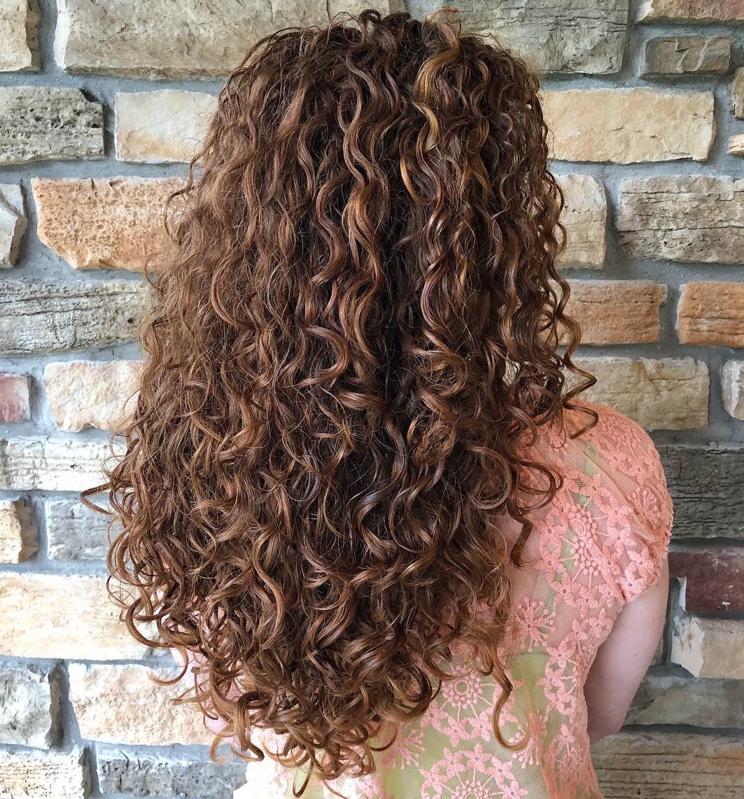 Long Curly Brown Hairstyle with Highlights