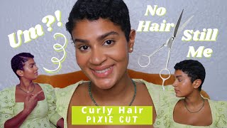 Curly Hair Pixie Cut 2021| My Natural Hair Pixie Cut Experience | My First Big Chop | Itsdinorah