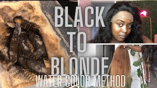 Black To Blonde Wig Water Color Method| 5 Min Bleach Bath!| Zodiac Hair