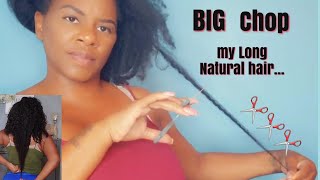 I Big Chop My Hip Length Hair | Cutting My Long Hair
