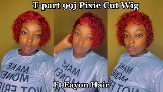 Gorgeous 99J Pixie Cut T-Part Wig Ft Eayon Hair.