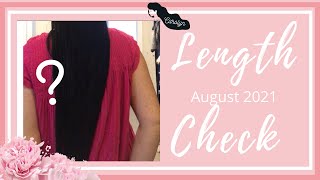 Long Hair Length Check Update & Current Haircare Routine