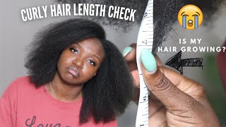 Curly Hair Length Check + Big News! | Why My Hair Isnt Growing