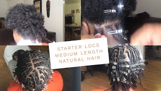 Starter Locs On Medium Length Natural Hair!