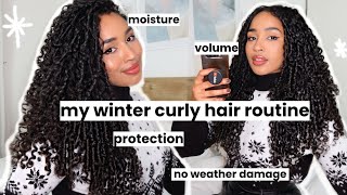 New Winter Curly Hair Care Routine + Tips For Volume, Moisture, & Avoiding Damage!