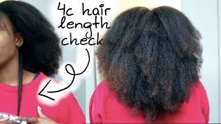 4C Hair Length Check