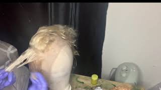 Tutorial On Ash Blonde Wig | West Kiss Hair 613
