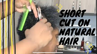 Short Cut In Natural Hair | Natural Hair Pixie Cut