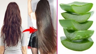 How To Grow Long And Thicken Hair Faster With Aloevera Gel !! Super Fast Hair Growth Challenge!