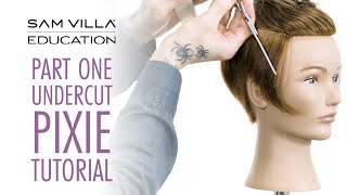 Part One - Undercut Pixie Haircut Tutorial - Tips For A Better Blend With The Top