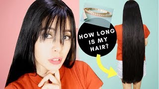 Measuring My Current Hair Length & Hair Growth Update-Beautyklove