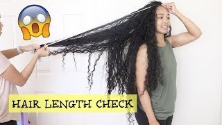 How Long Is My Hair?? | Hair Length Check