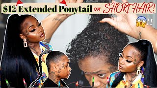 $12 Extended & Sleek High Ponytail On Short Curly Hair | No Heat Used | Laurasia Andrea Fairyycember
