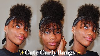 How I Do My Bangs On 4A,4B,4C Hair *Blk Girl Magic✨*