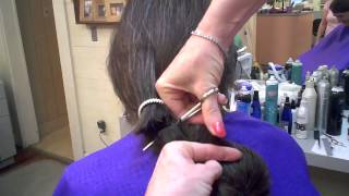 Haircut On Long Ponytail Cut Off
