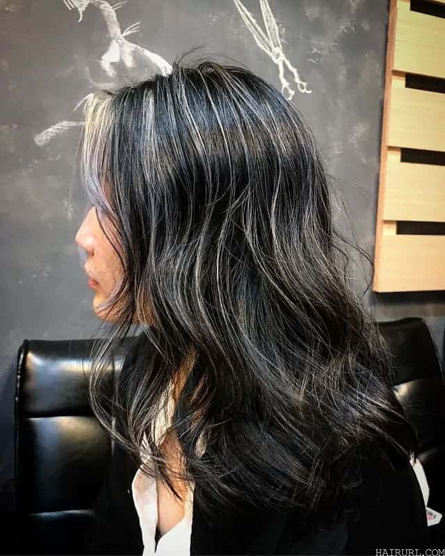 Black Hair with Silver Highlights