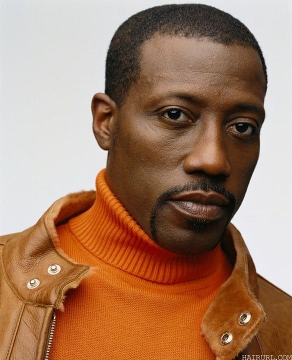 Wesley Snipes's Thin black Mustache