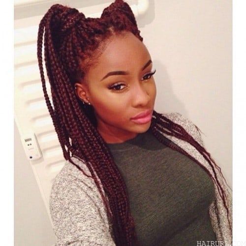 double up pony style women individual braids 