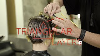 Bixie Haircut With Not Flattened Zones, Modern Mix Of Bob And Pixie Haircut
