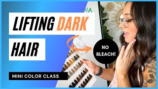 Hair Color Theory Mini Class: How To Lift Dark Base Colors Without Bleach Or Brass!