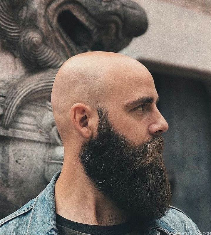 dark full beard with shaved head