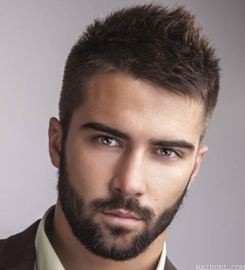 mens Professional Beard Styles with Mustaches